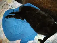 IMGP5423.webp