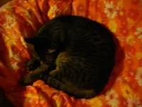IMGP5427.webp