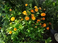 DSC02435.webp