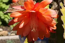 for ever young (2).webp