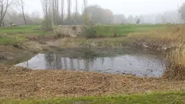 Teich 2.webp