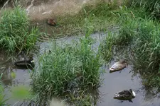 022.webp