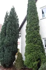 20171106_162109.webp