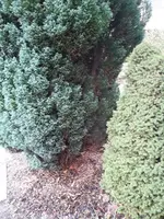 20171106_162120.webp