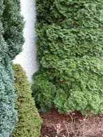 20171106_162122.webp