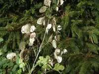 BILD8473.webp