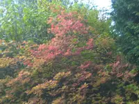 BILD8467.webp