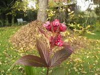 BILD8471.webp