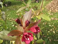 BILD8472.webp