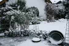 Winter0316.webp