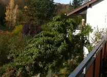 Baum fällen3.webp