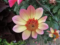 DSCI2344.webp