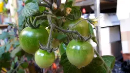 20171107_093011.webp