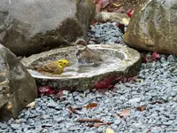 DSCF0624 (2).webp