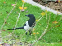 DSCF0632 (2).webp