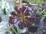 BILD8344.JPG