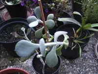 BILD8338.webp