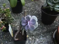 BILD8336.JPG