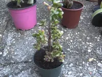 BILD8364.webp