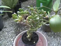 BILD8343.webp