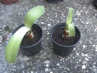 BILD8363.JPG
