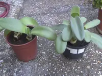 BILD8358.webp