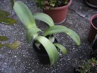 BILD8333.webp