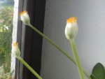 BILD6017.JPG