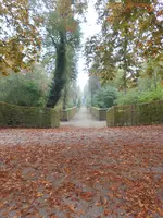 DSCN4707.webp