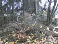 BILD8483.webp