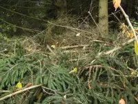 BILD8488.webp