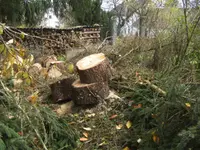 BILD8486.webp