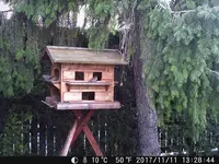 DSCF0520.webp