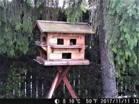 DSCF0521.webp