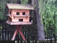 DSCF0529.webp