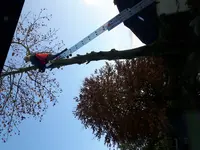 20171110_154258.webp