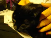 IMGP5492.webp