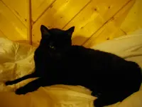 IMGP5489.webp