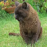 IMG_2032v (2).webp