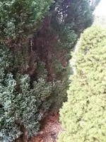 20171112_144914.webp