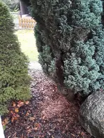 20171112_144928.webp