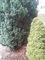20171112_144956.webp