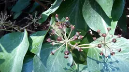 20171112_111759.webp