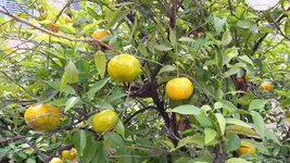 20171111_124222.webp