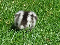 IMG_1768v (2).webp