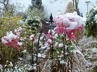 DSCF0638 (2).webp