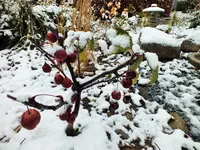 DSCF0639 (2).webp