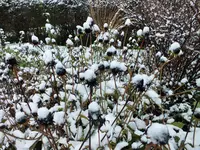 DSCF0640 (2).webp