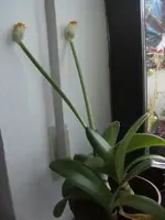 BILD8510.webp
