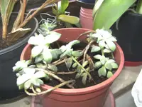 BILD8507.webp